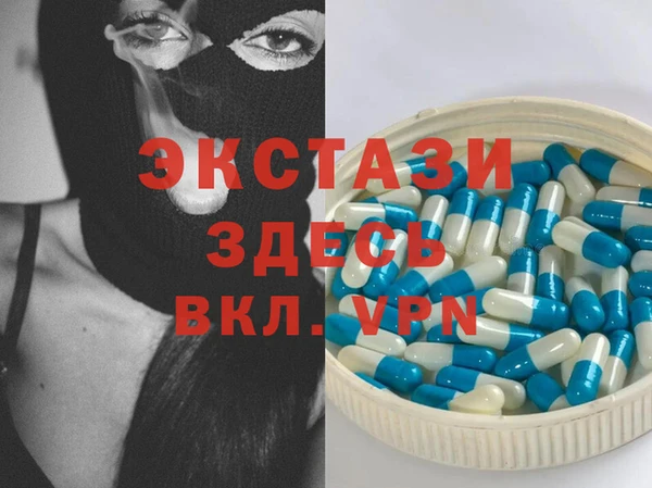 ECSTASY Богданович