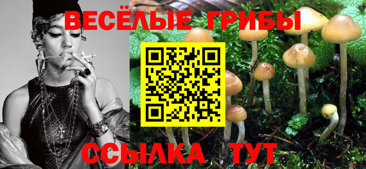 Галлюциногенные грибы ЛСД Сарапул