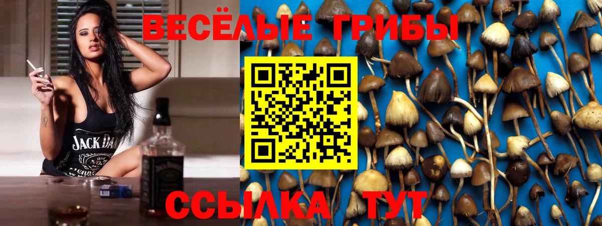 купить наркоту  Сарапул  Галлюциногенные грибы Magic Shrooms 