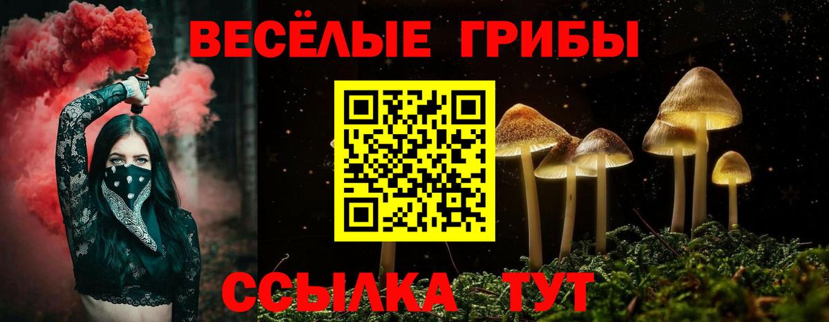 Сарапул  Галлюциногенные грибы MAGIC MUSHROOMS  Вход с VPN 